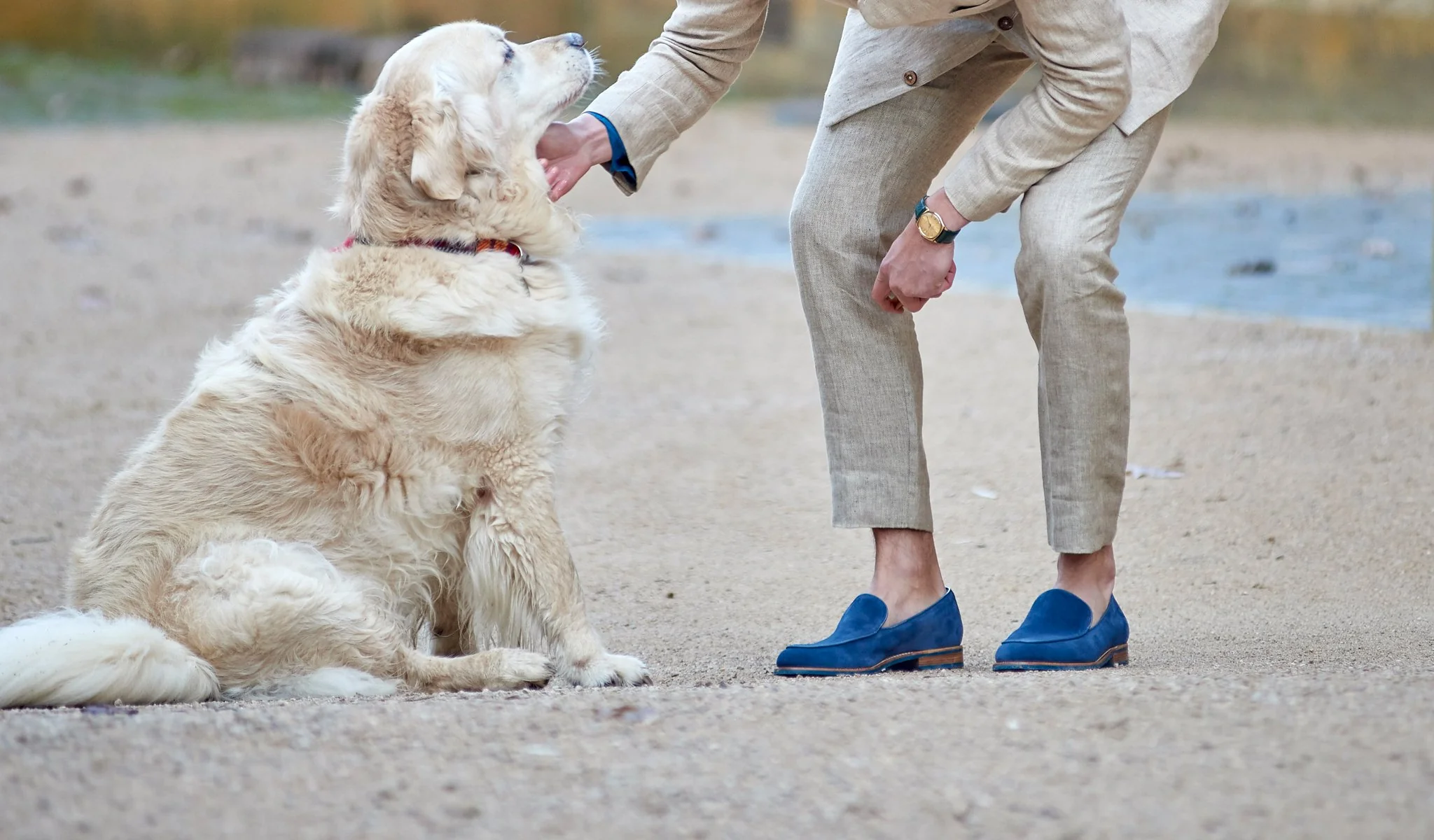 Toledo - Pacific Blue Suede Loafer - Image 5